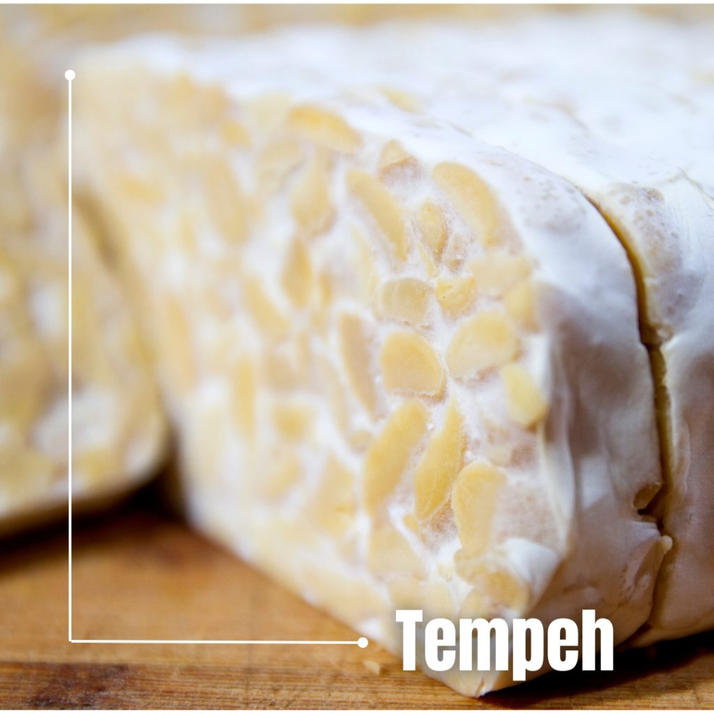 Easy Learn Tempeh (1)