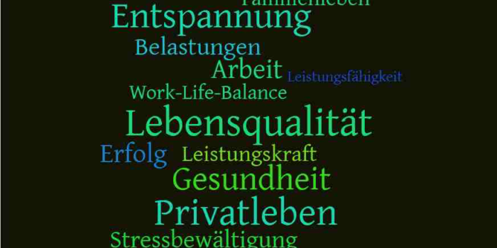 Work-Life-Balance: Leistungskraft, Gesundheit und Lebensqualität zwischen Arbeit und Privatleben