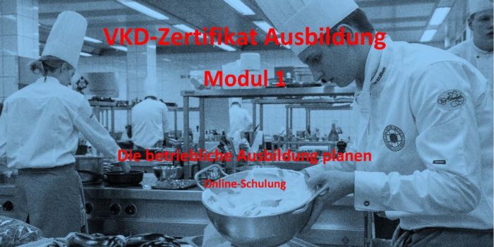 VKD-Zertifikat Ausbildung – Modul 1 – Die betriebliche Ausbildung gestalten- Online Schulung