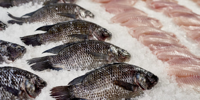 „Bei Fisch und Seafood ist noch Luft nach oben“